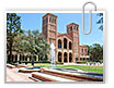 UCLA признан вузом №1 согласно рейтингу Forbes